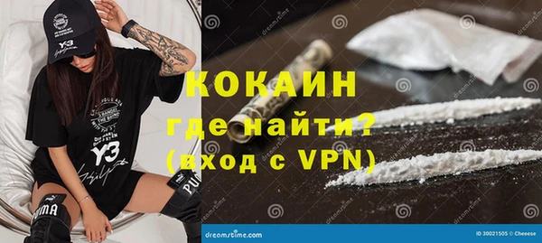 ПСИЛОЦИБИНОВЫЕ ГРИБЫ Богданович