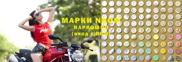 ПСИЛОЦИБИНОВЫЕ ГРИБЫ Богданович